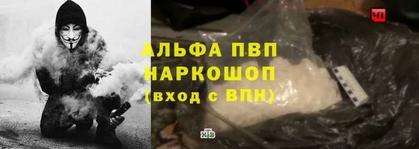 ПСИЛОЦИБИНОВЫЕ ГРИБЫ Белокуриха