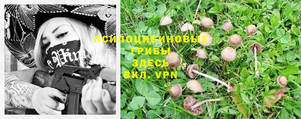 ПСИЛОЦИБИНОВЫЕ ГРИБЫ Белокуриха