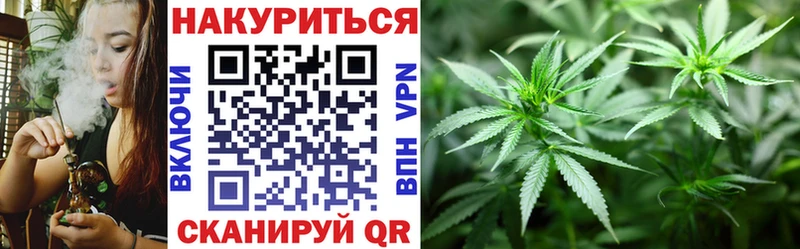 Шишки марихуана SATIVA & INDICA  OMG онион  Павловск  купить  сайты 